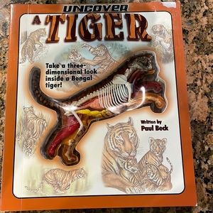 Uncover a tiger-3dimensional book- inside a Bernal tiger
